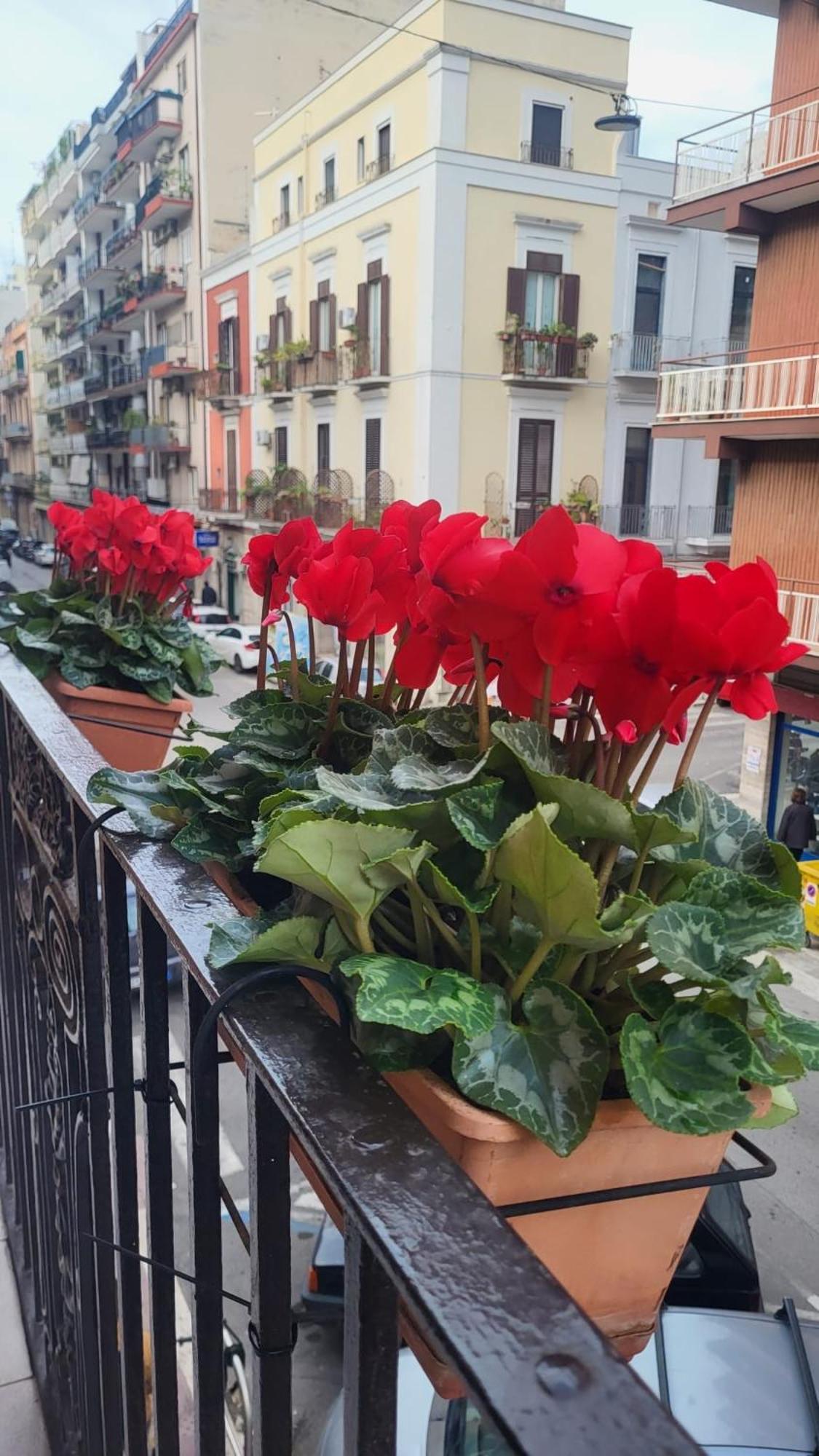 Apartamento Volare House Bari Exterior foto