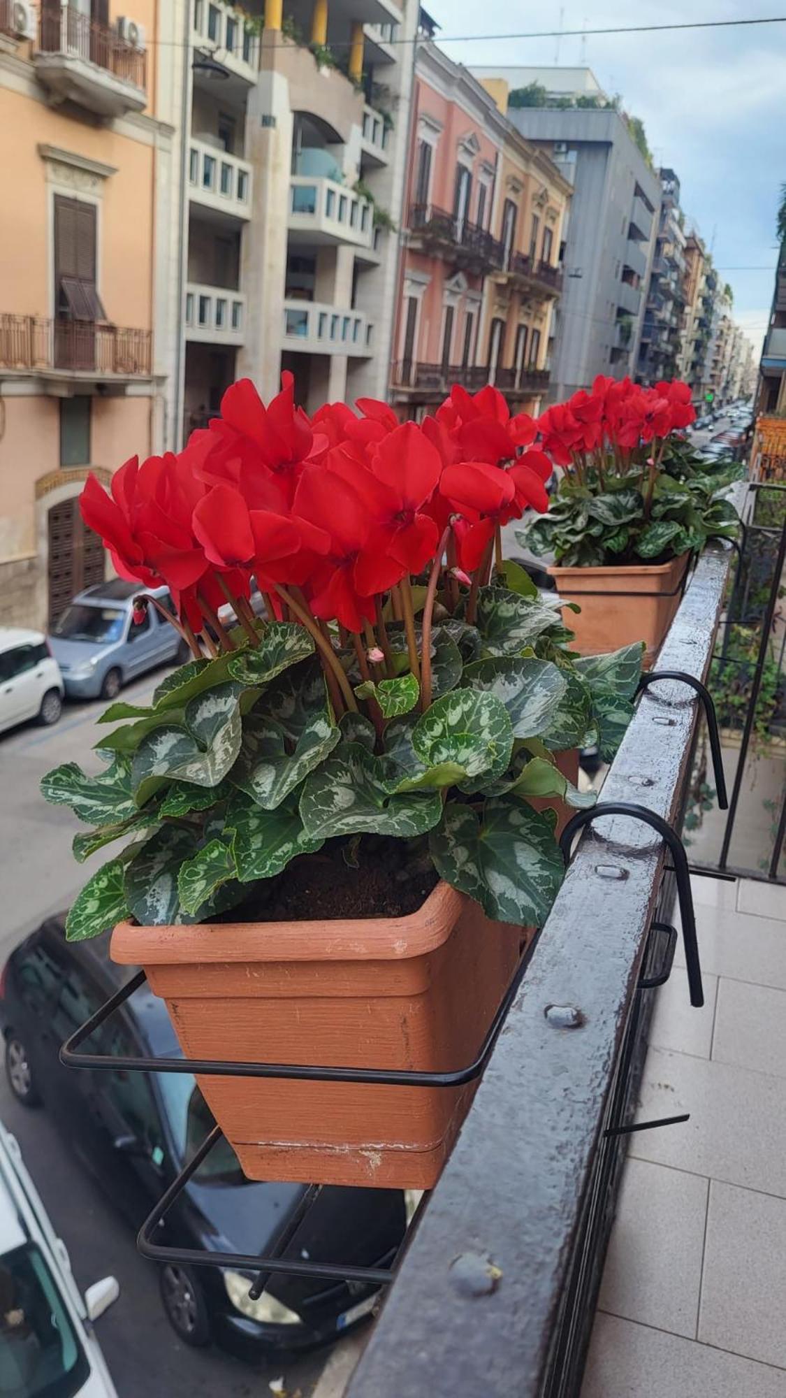 Apartamento Volare House Bari Exterior foto